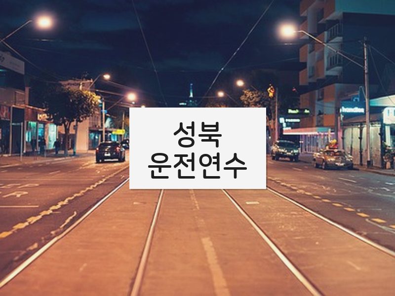 성북운전연수 후기