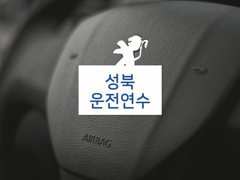 성북운전연수 후기