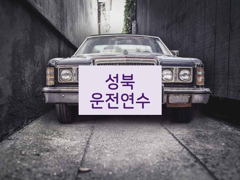 성북운전연수 후기
