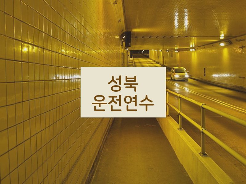성북운전연수 후기