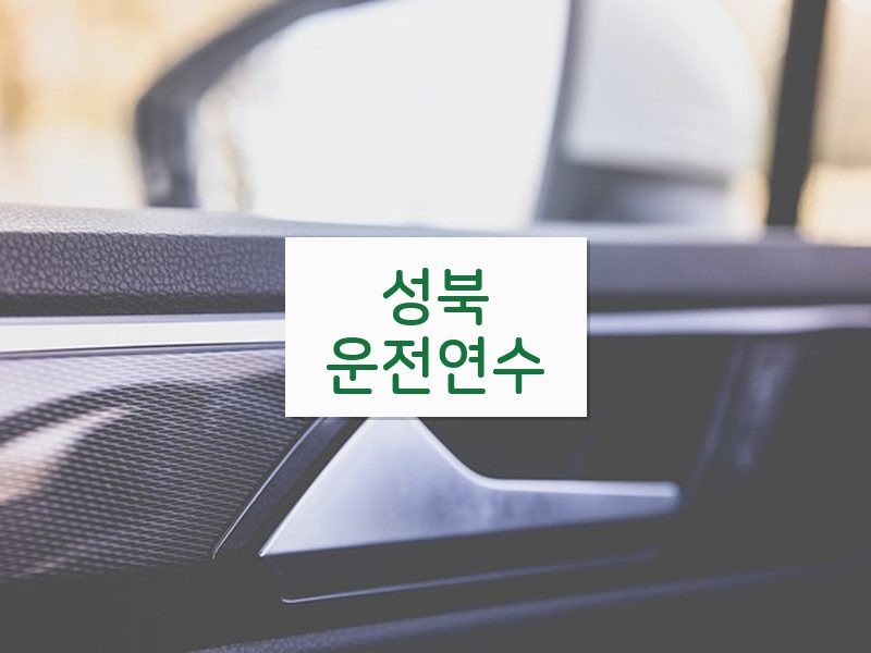 성북운전연수 후기