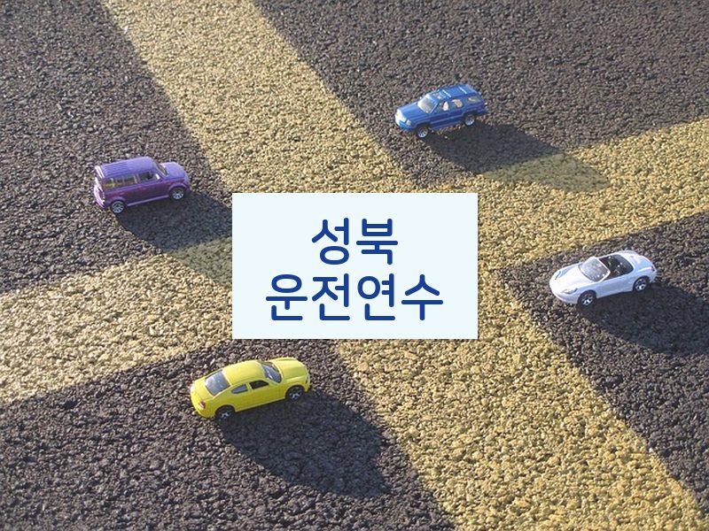 성북운전연수 후기