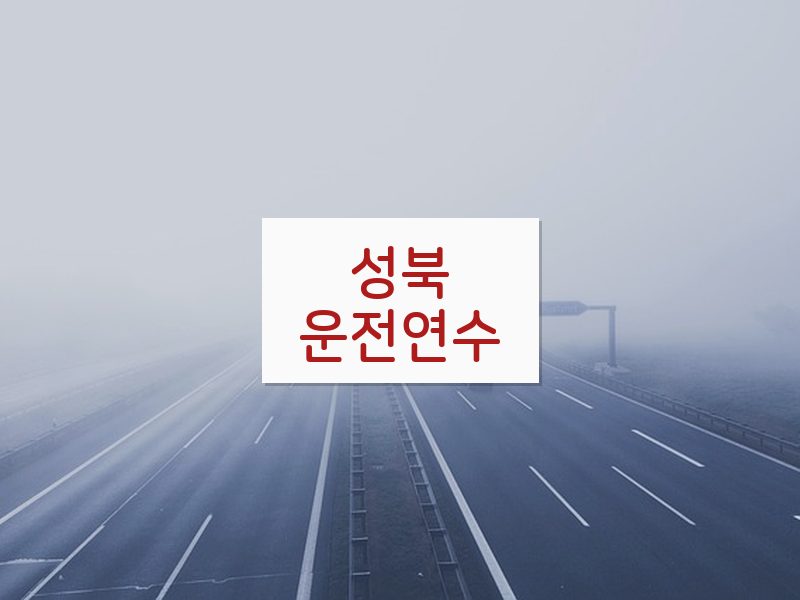 성북운전연수 후기