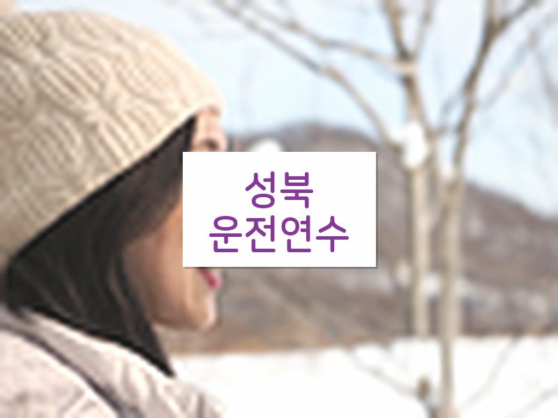 성북운전연수 후기