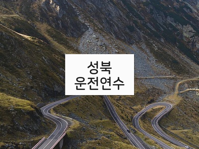 성북운전연수 후기