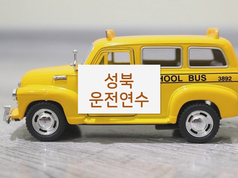 성북운전연수 후기