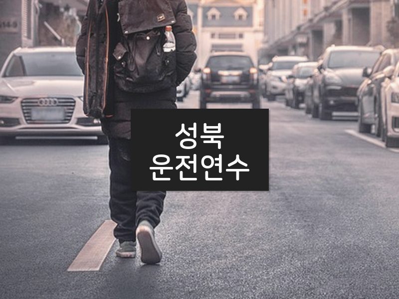 성북운전연수 후기