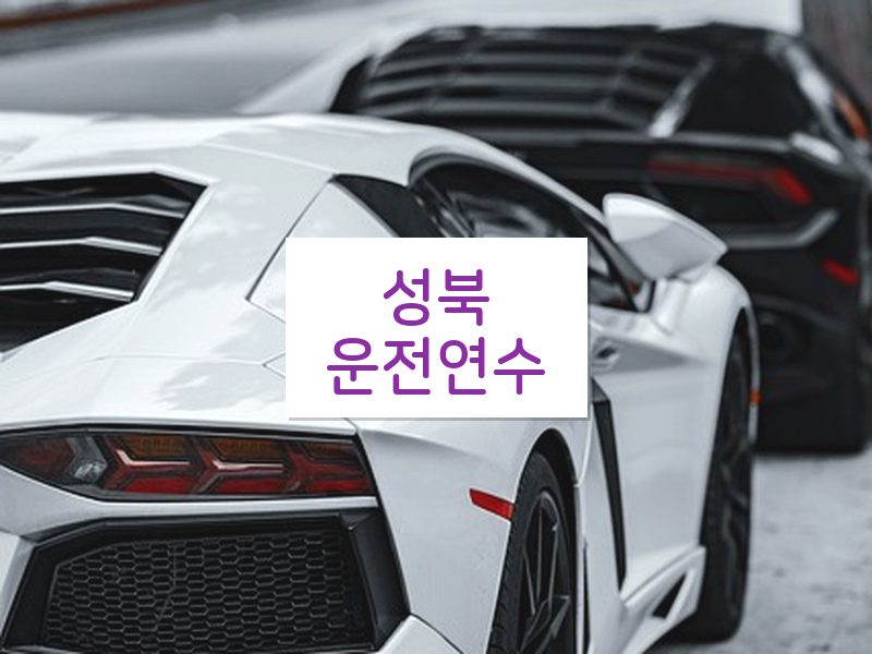 성북운전연수 후기