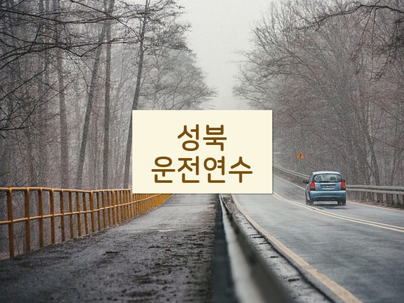 성북운전연수 후기