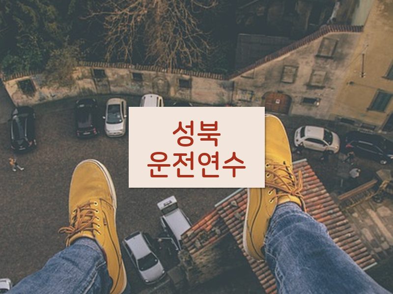 성북운전연수 후기