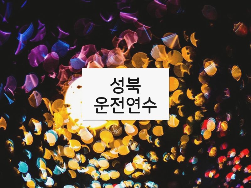 성북운전연수 후기