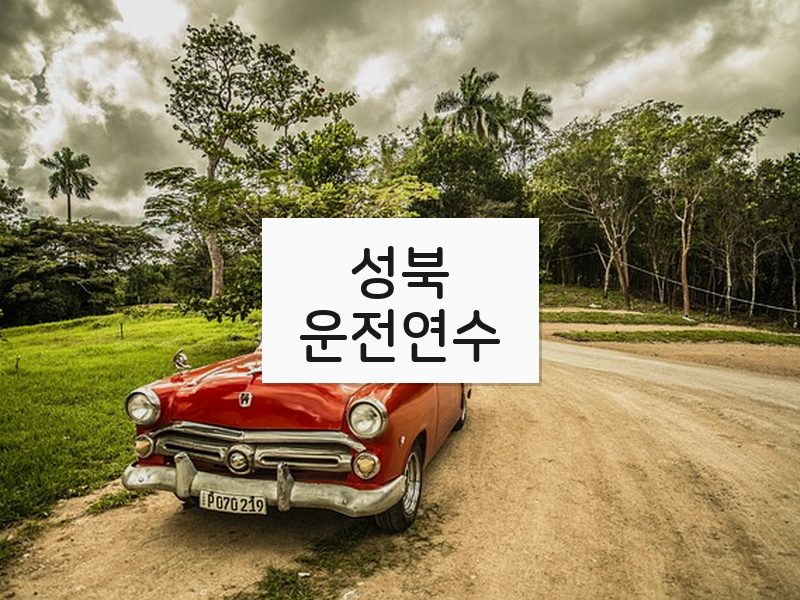 성북운전연수 후기