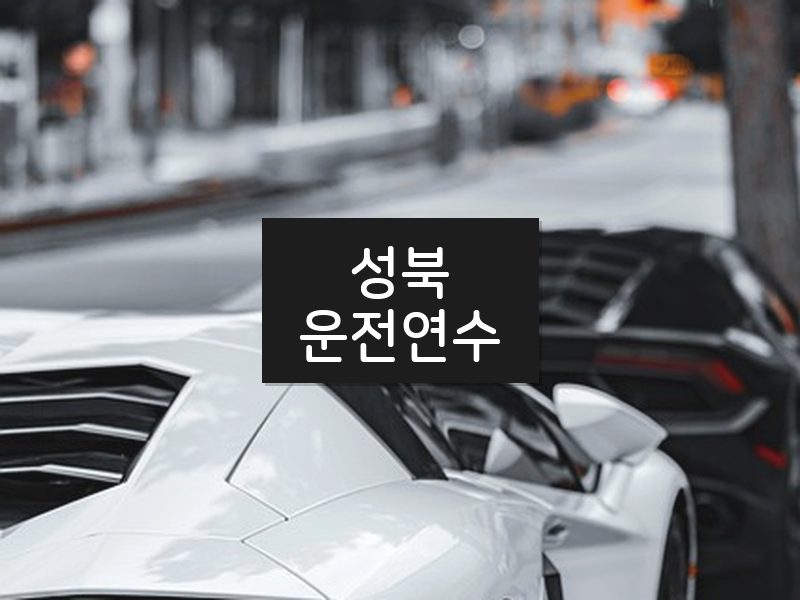 성북운전연수 후기