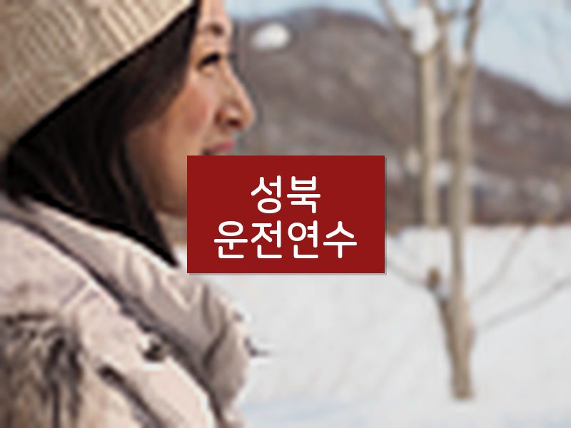 성북운전연수 후기