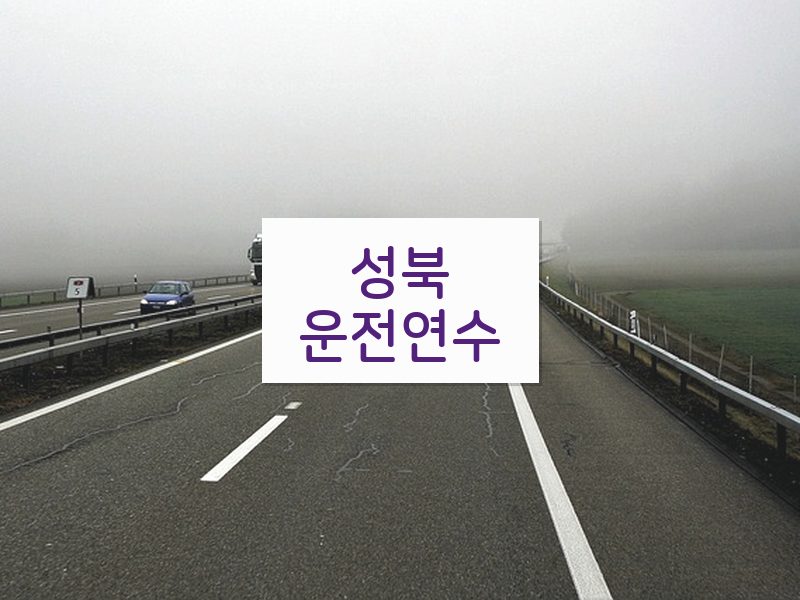 성북운전연수 후기