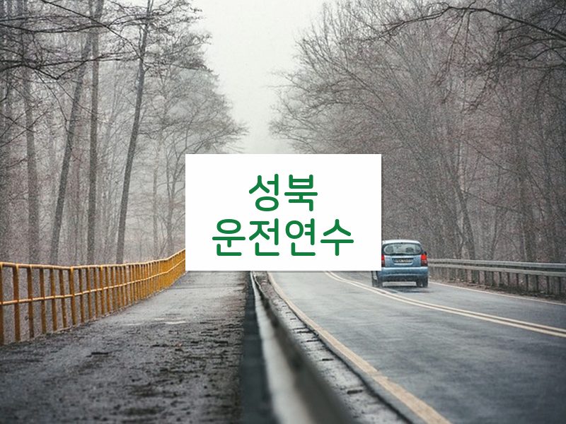 성북운전연수 후기