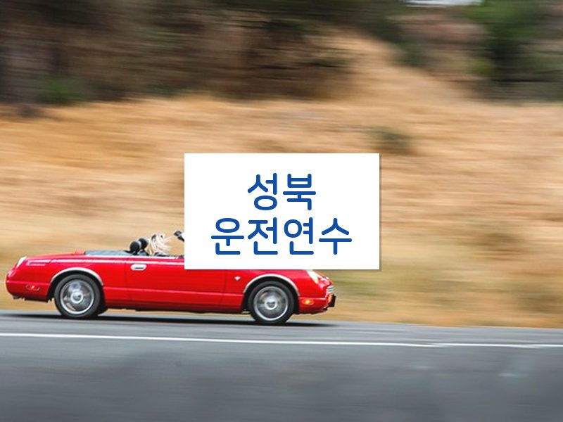 성북운전연수 후기