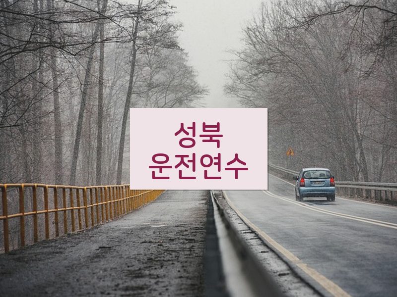 성북운전연수 후기