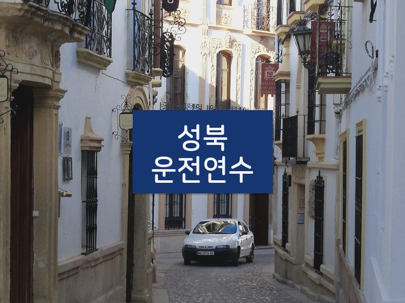 성북운전연수 후기