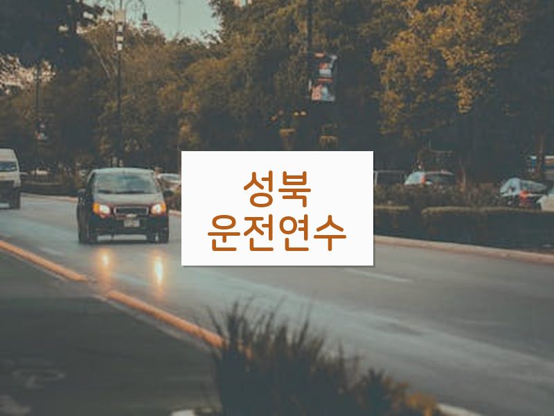 성북운전연수 후기