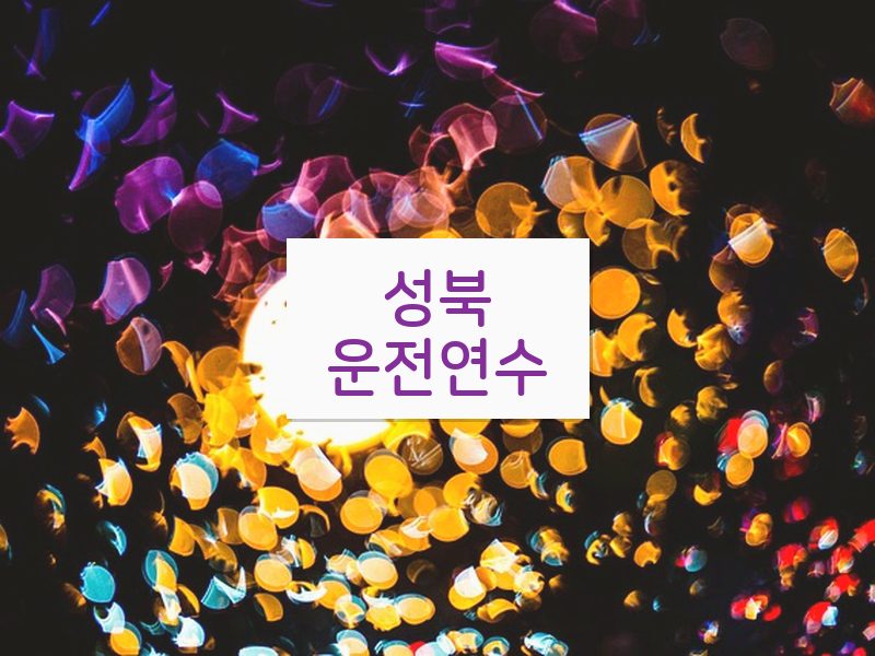 성북운전연수 후기