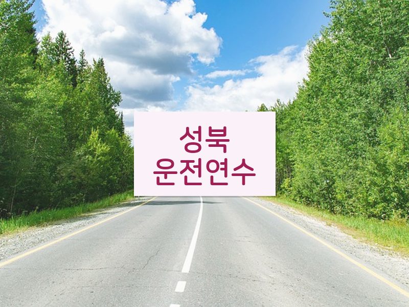 성북운전연수 후기