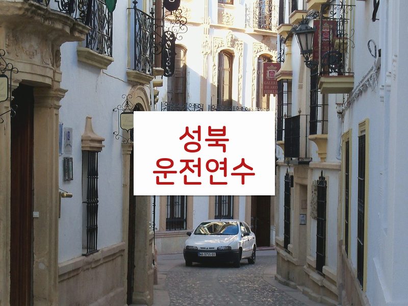 성북운전연수 후기