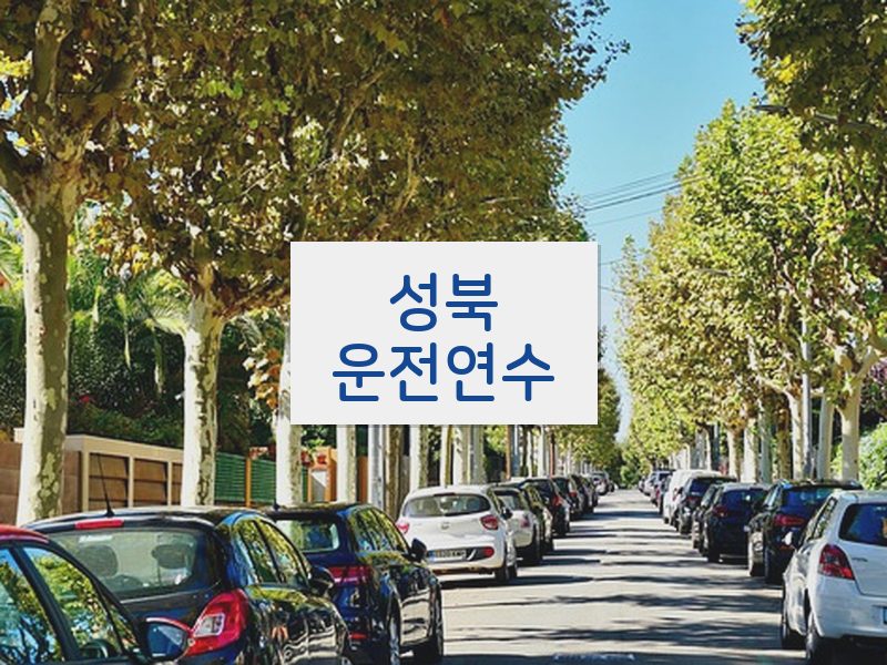 성북운전연수 후기