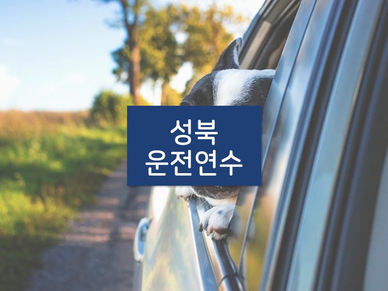 성북운전연수 후기