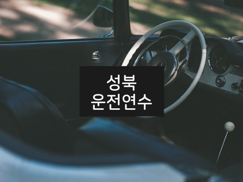 성북운전연수 후기