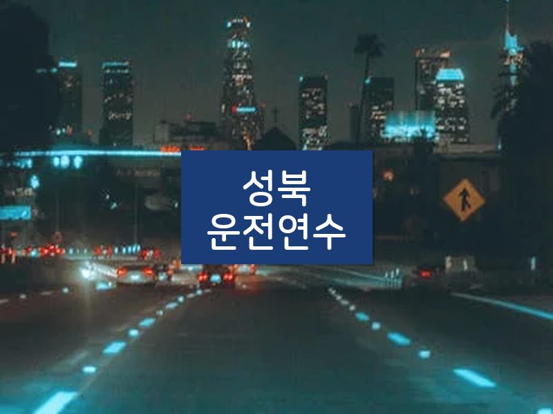 성북운전연수 후기