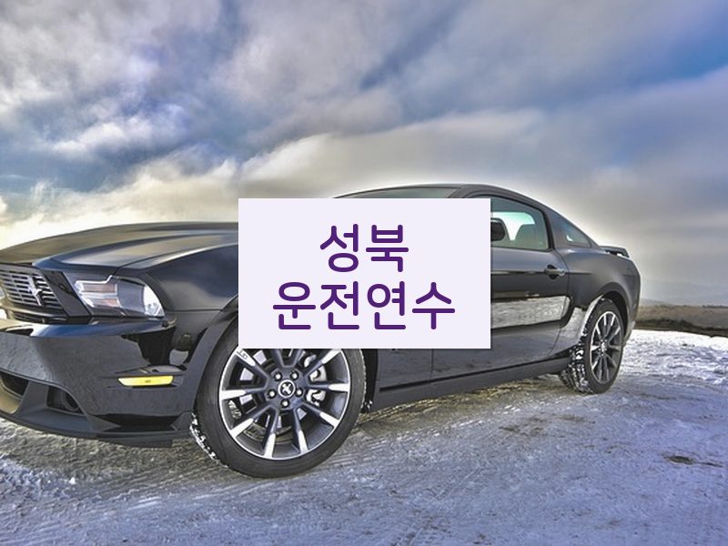 성북운전연수 후기
