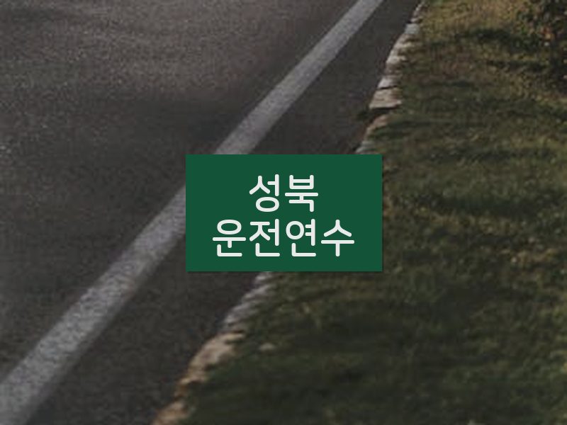 성북운전연수 후기
