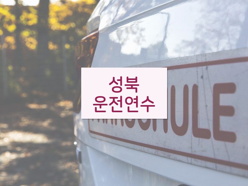 성북운전연수 후기