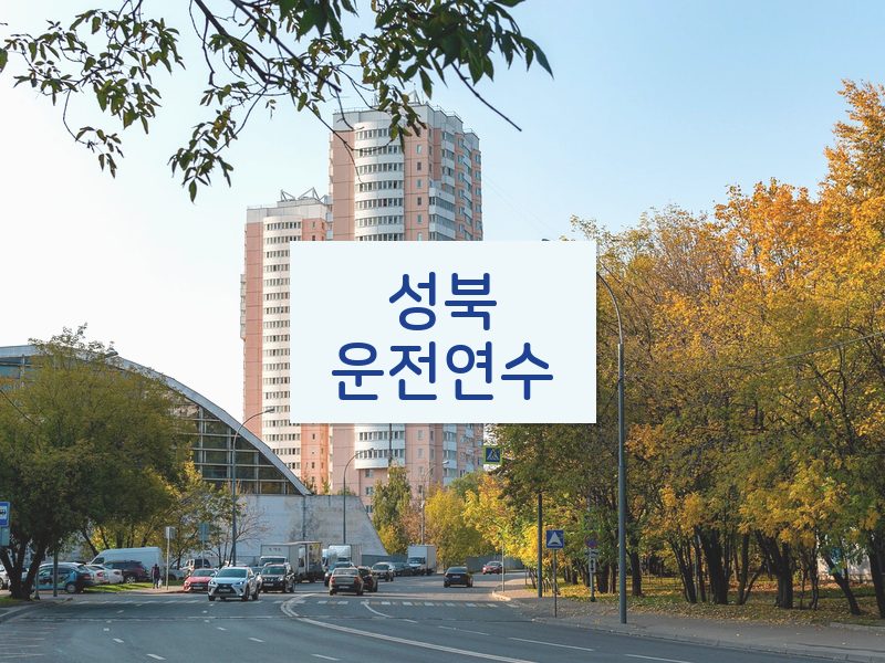 성북운전연수 후기