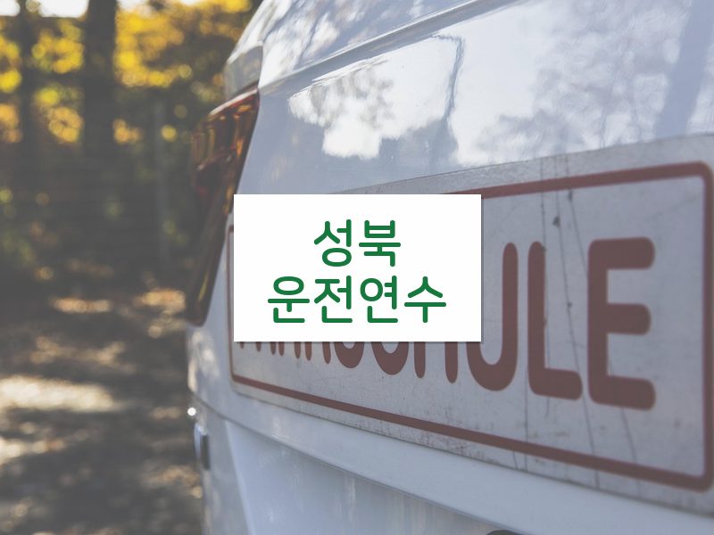 성북운전연수 후기