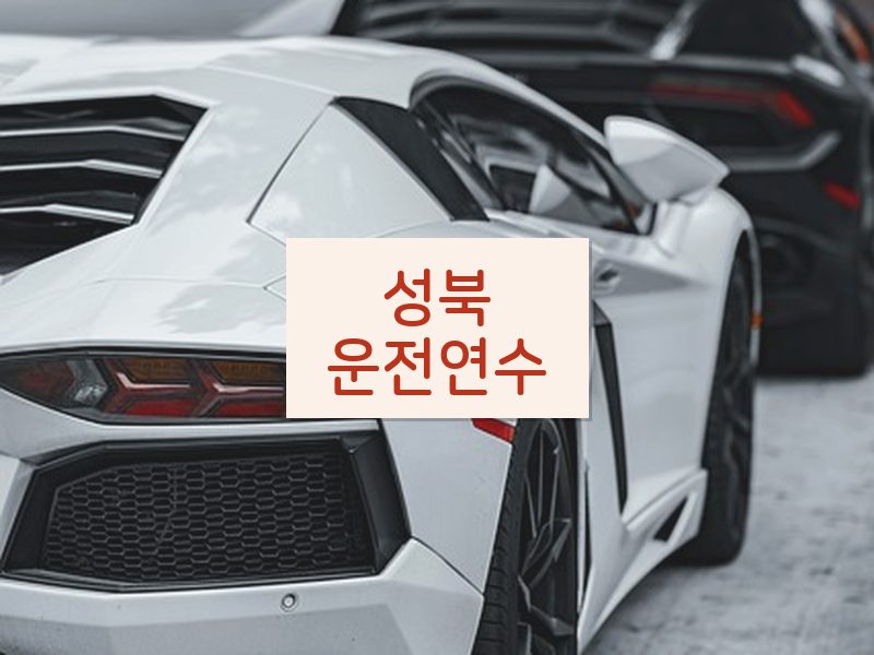 성북운전연수 후기