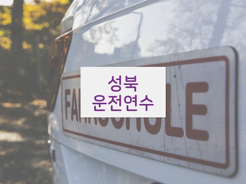 성북운전연수 후기