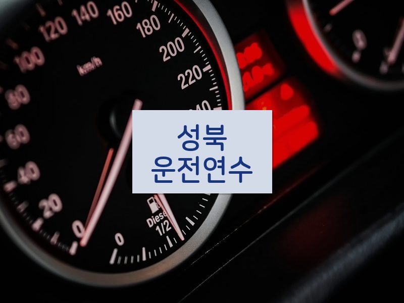 성북운전연수 후기