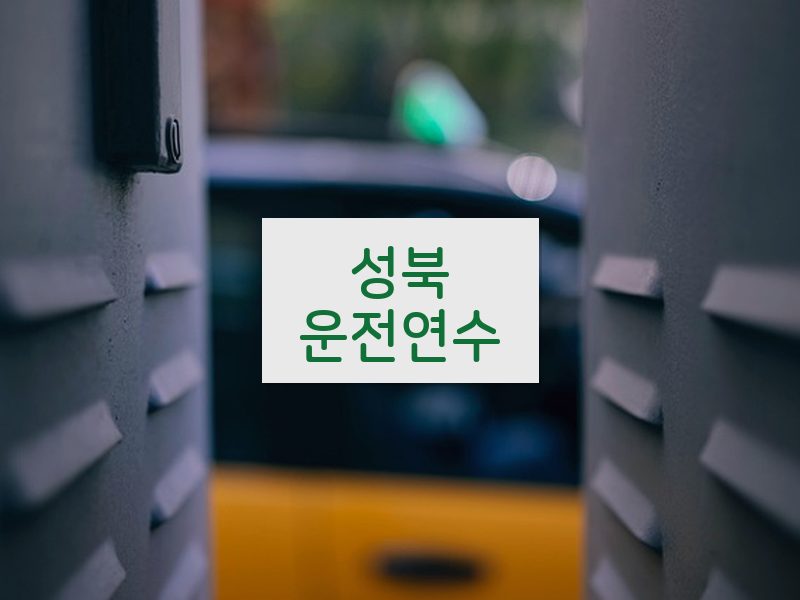 성북운전연수 후기
