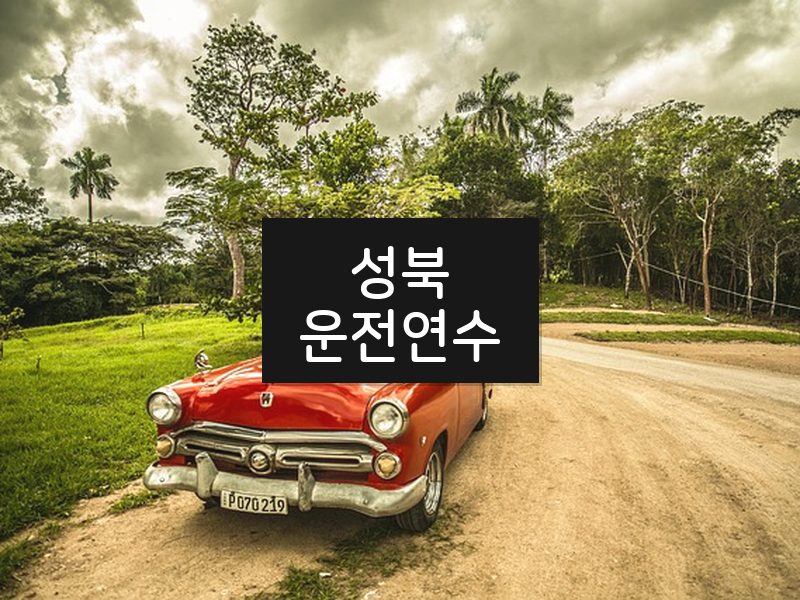 성북운전연수 후기
