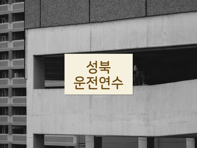 성북운전연수 후기