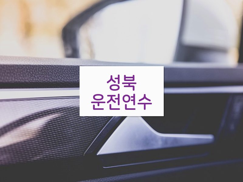성북운전연수 후기