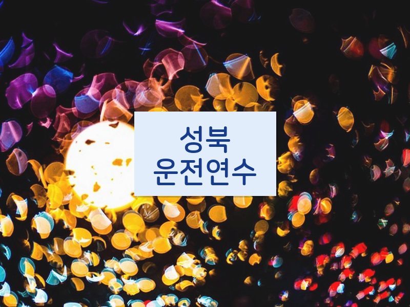 성북운전연수 후기