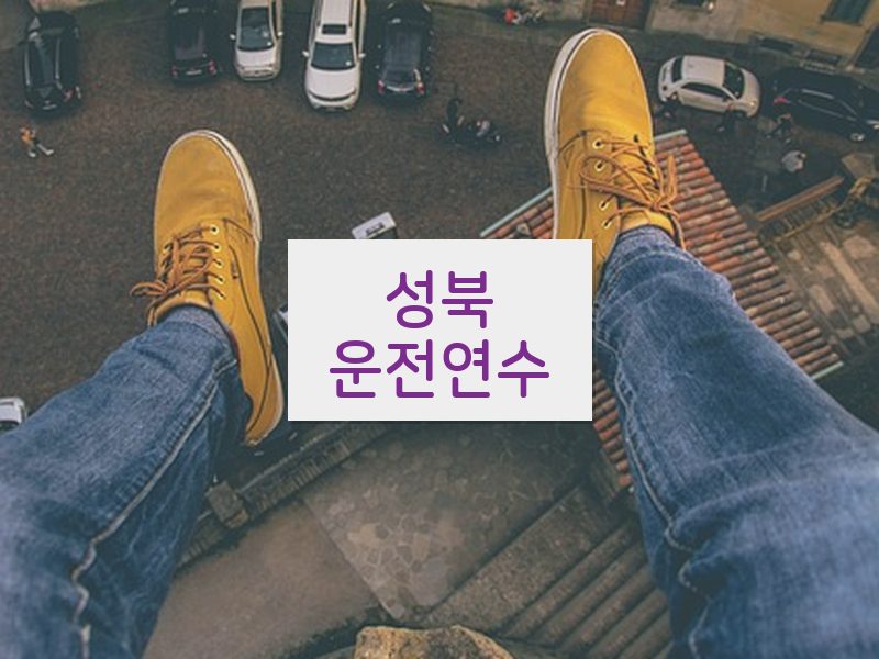성북운전연수 후기