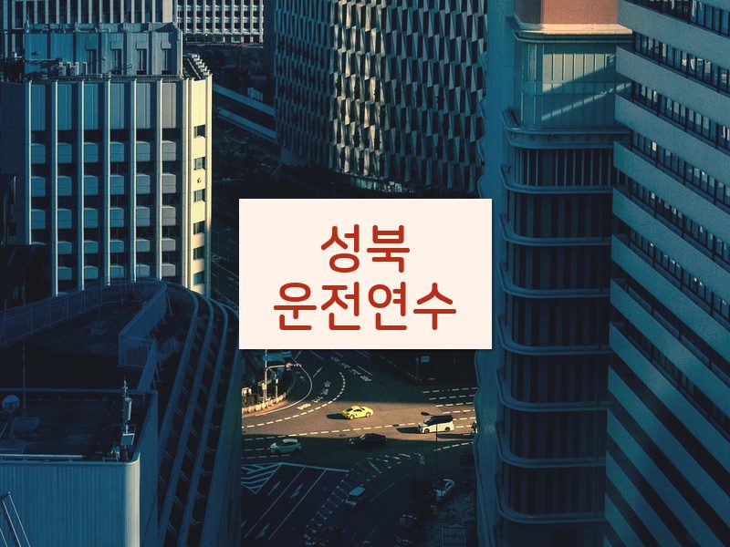성북운전연수 후기