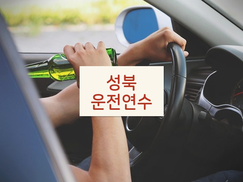 성북운전연수 후기