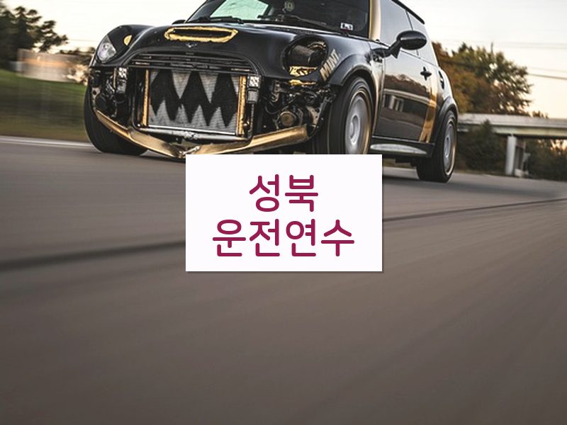 성북운전연수 후기