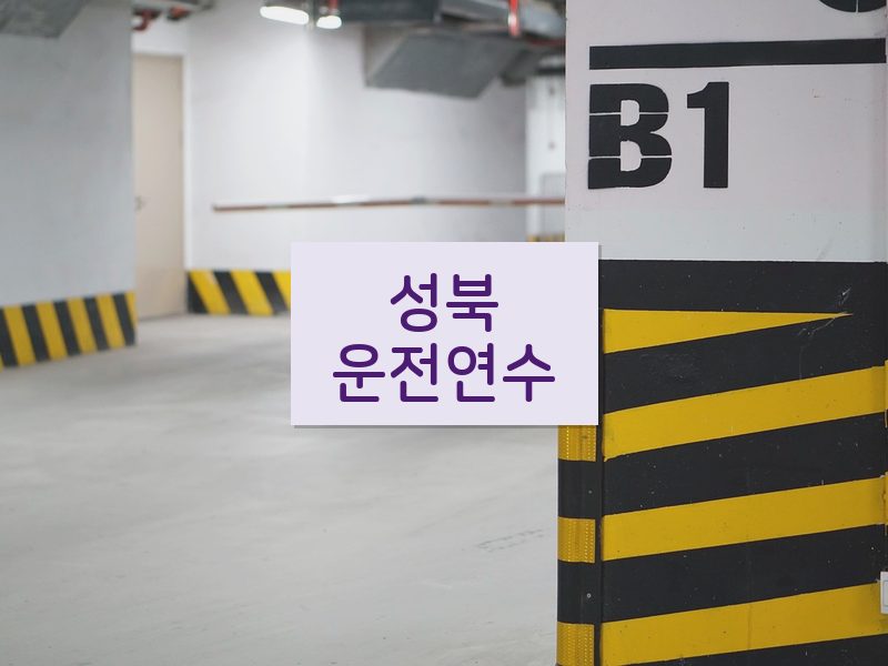 성북운전연수 후기
