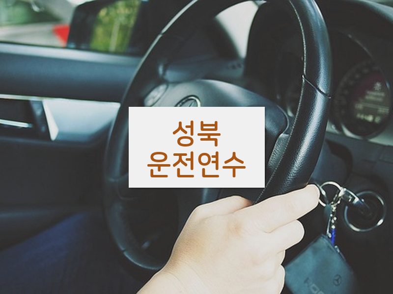 성북운전연수 후기